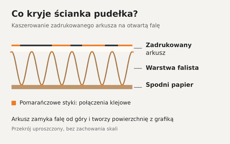 Przekrój kaszerowanej tektury: zadrukowany arkusz, połączenia klejowe, fala i spodnia warstwa papieru